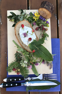 Angebote Firmen Belegtes Brot